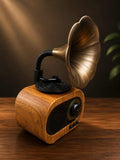 Retro gramophone blue tooth speaker | Veloura Gifting